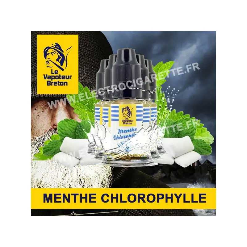 Pack de 5 x Menthe Chlorophylle - L'Authentic - Le Vapoteur Breton - 10 ml