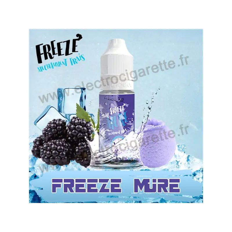 Freeze Mûre - Liquideo - 10 ml