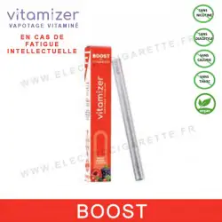 Boost - Vitamizer