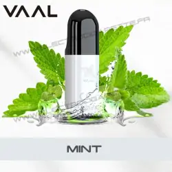Mint - VAAL Q Bar - Joyetech - Vape Pen - Cigarette jetable