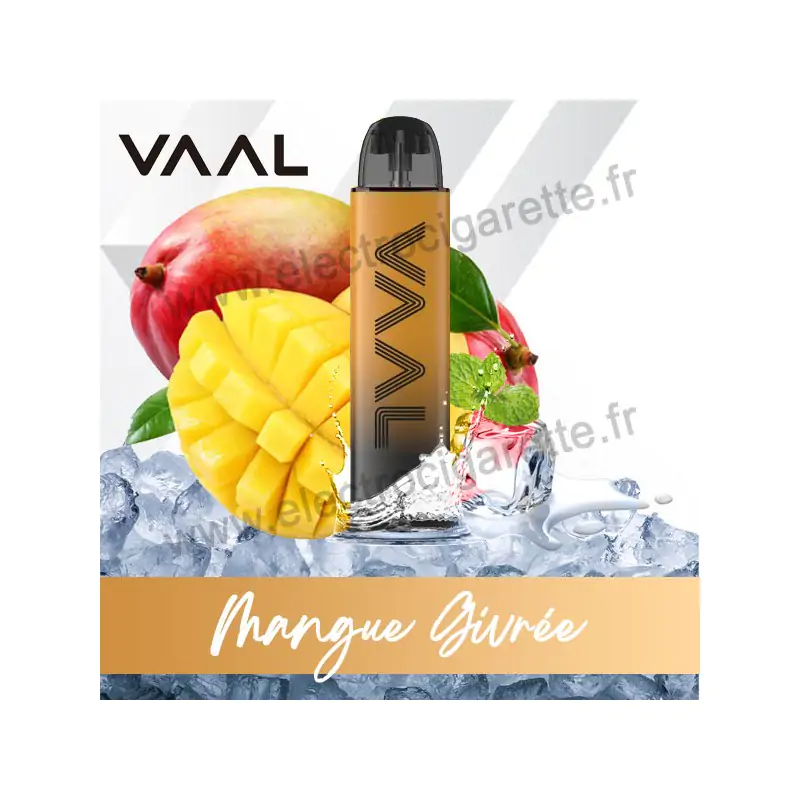 Kit Mangue Givrée - VAAL CC - Joyetech - Cigarette rechargeable à pod - 650 Puffs