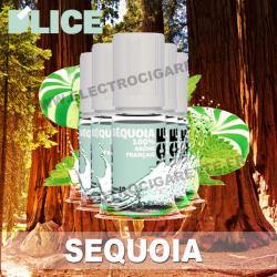 Pack 5 flacons 10 ml Sequoia - D'Lice
