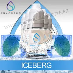 Pack 5 flacons 10 ml Iceberg - Savourea