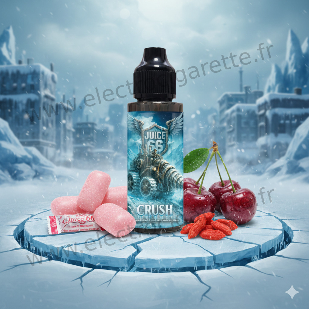 Ice Break 100ml par Juice 66
