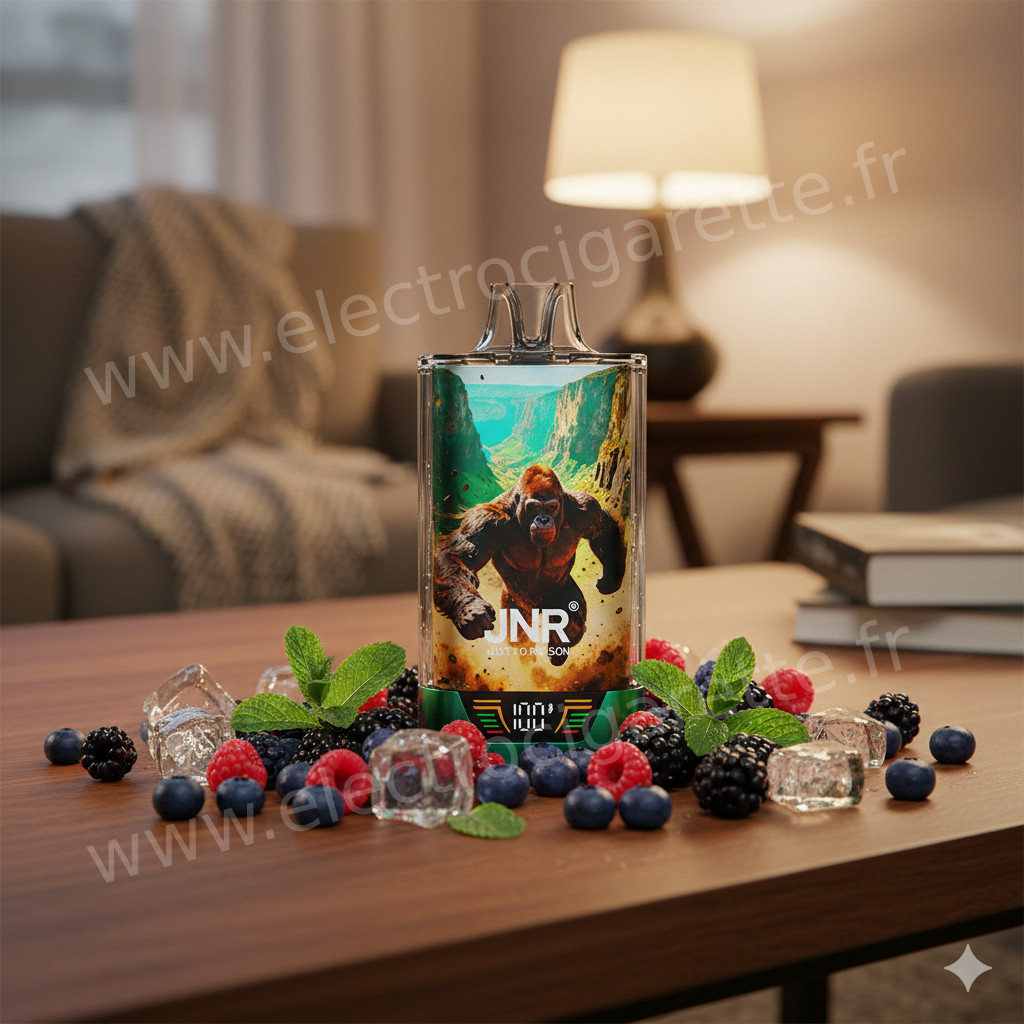 Kit GorillaX 43000 avec 2x10ml - 20mg - JNR