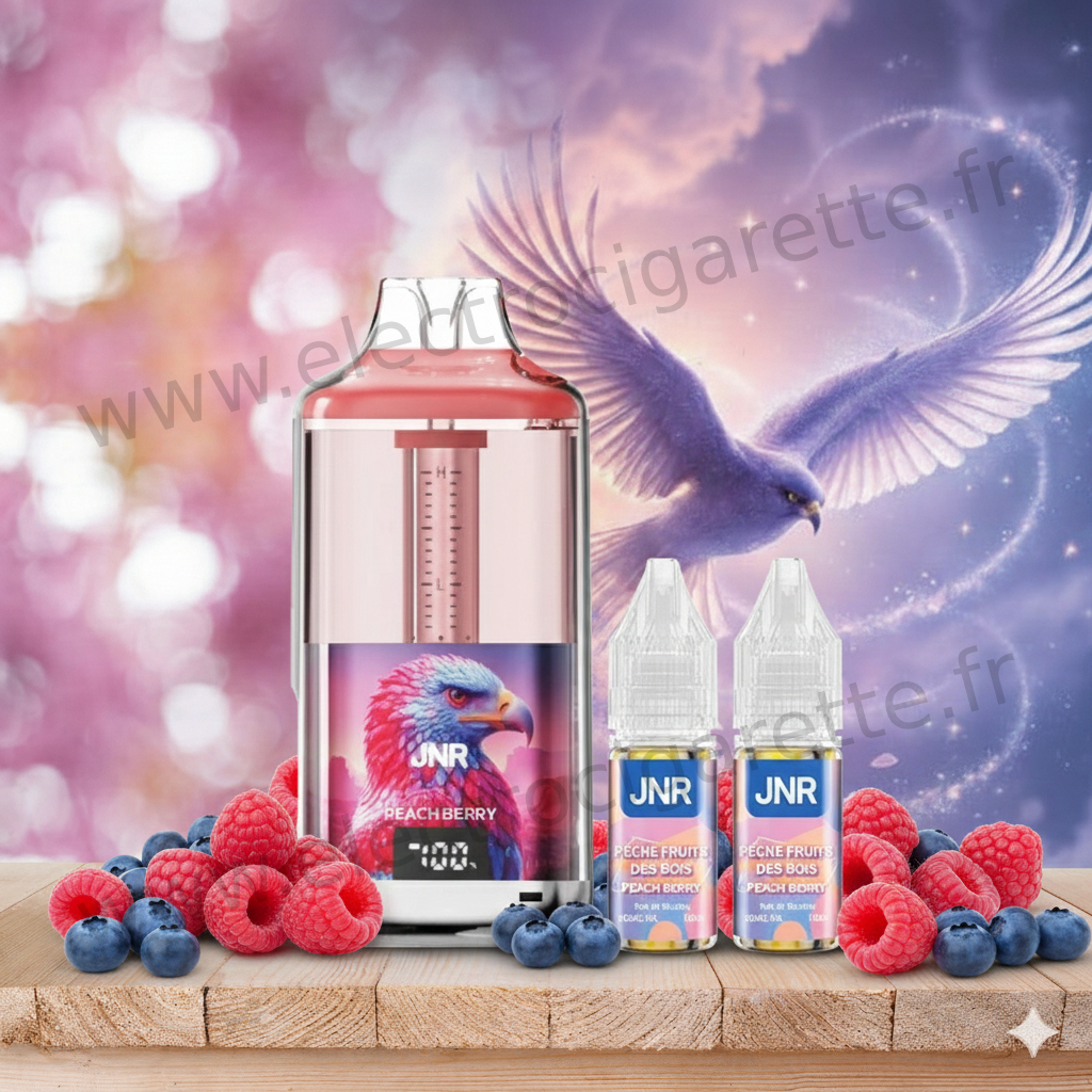 Blueberry Red Raspberry - Falcon Gem 30K JNR