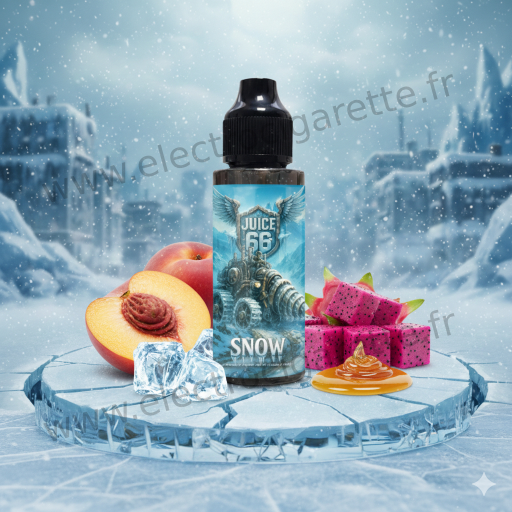 Snow Ice Break Juice 66 100ml