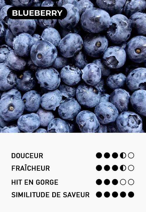 Information sur la saveur Blueberry par Moti Pop