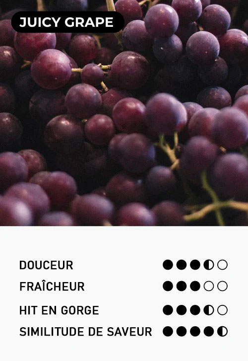 Information sur la saveur Juicy Grape par Moti Pop