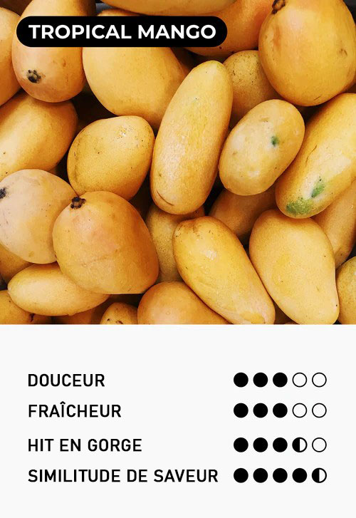 Information sur la saveur Tropical Mango par Moti Pop