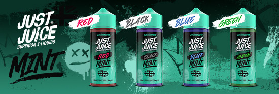 SLIDE Mint Just Juice 100ml
